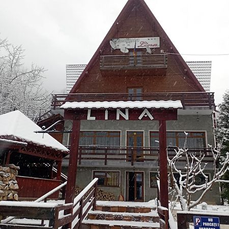 Pensiunea Lina Lepsa Bagian luar foto